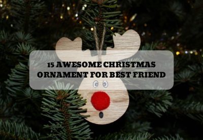 15 AWESOME CHRISTMAS ORNAMENT FOR BEST FRIEND